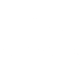 Piraterie Paper