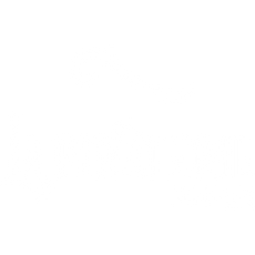 Piraterie Paper